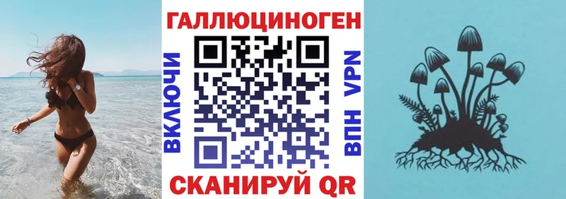 Псилоцибиновые грибы Cubensis  Купить где  Северобайкальск 